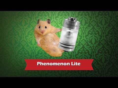 Phenomenon Lite (Yeahsmo) - обзор от Папироска.рф