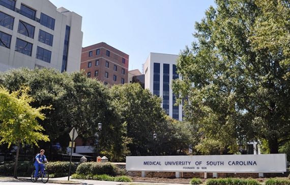 Новые исследования университета Миннесоты и медицинского университета Южной Каролины