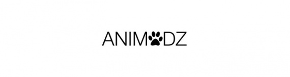 Doggystyle 2K16 - размышления на тему миниатюры от французов (AniModz)