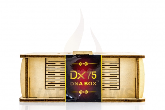 Hotcig DX75 - одна из самых компактных DNA75