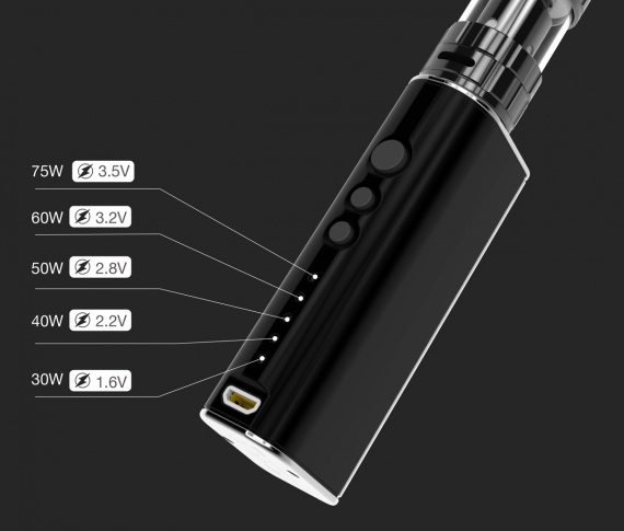 Vaptio P-II kit - теперь с термоконтролем...