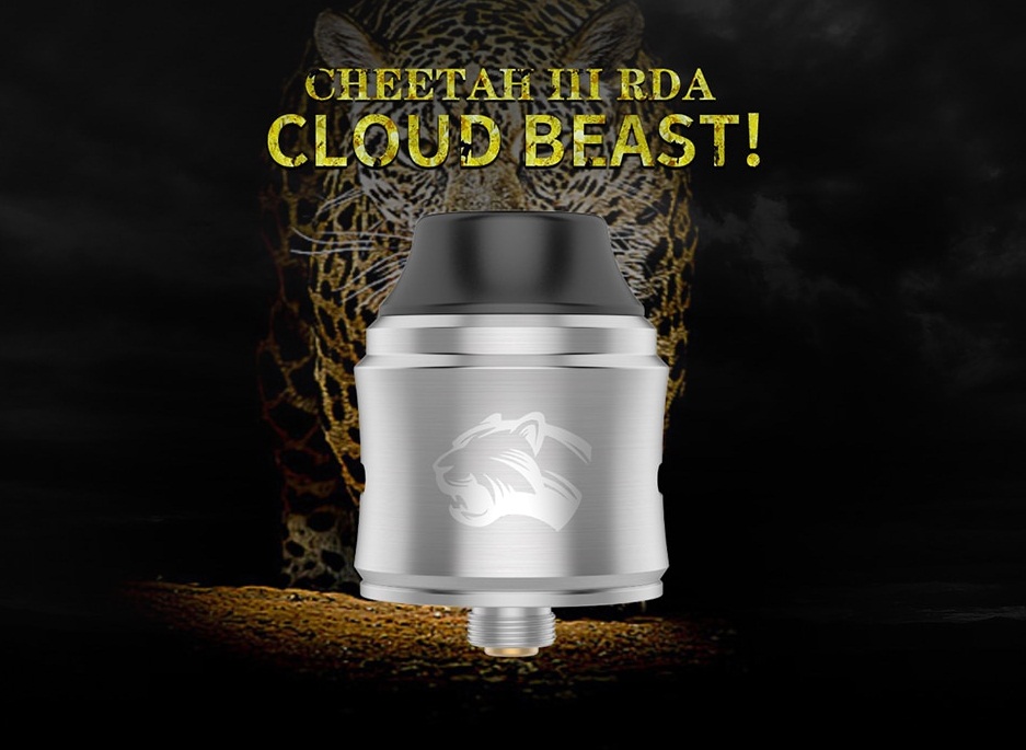 Obs Cheetah III RDA - третий помёт семейства кошачьих...