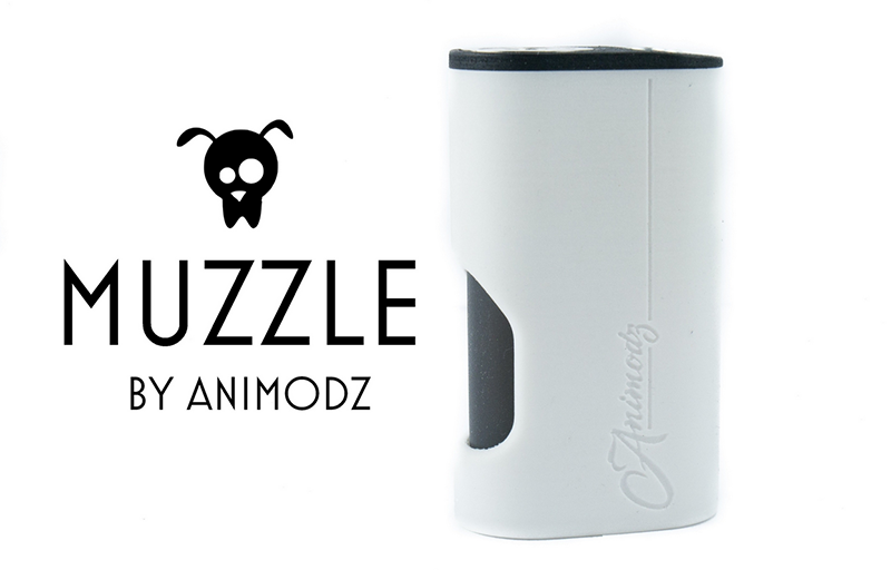 Muzzle Box BF - сквонкер от французов, простенький и практичный (by Animodz)