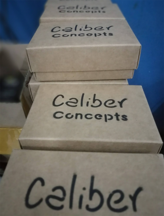 Caliber X2 от компании Caliber Concepts. Просто, посредственно и дороговато