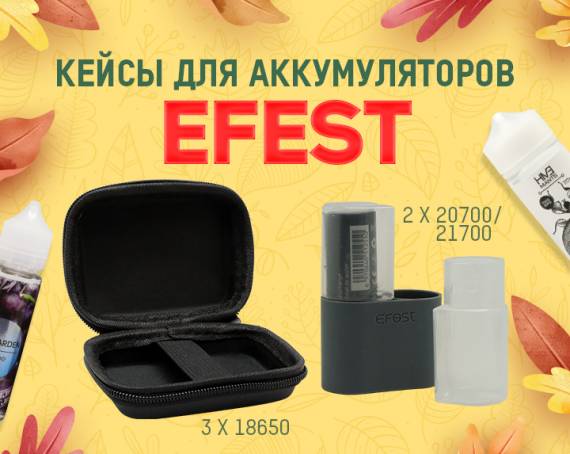 Для любых форматов аккумуляторов: кейсы EFEST в Папироска РФ !