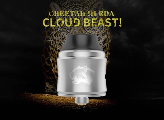 Obs Cheetah III RDA - третий помет семейства кошачьих...