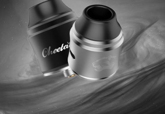 Obs Cheetah III RDA - третий помет семейства кошачьих...