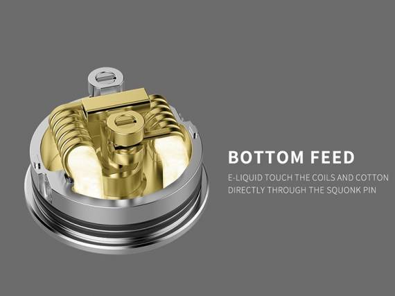 Obs Cheetah III RDA - третий помет семейства кошачьих...