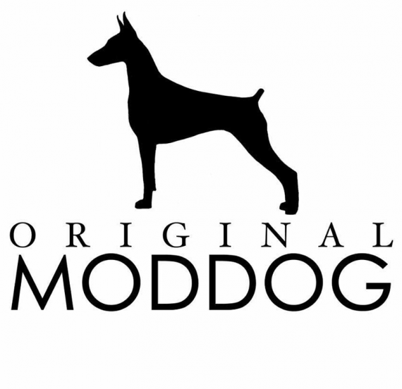 Необычные формы, нестандартный дизайн. Сквонкер Stige от компании Original Moddog